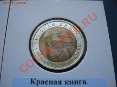 Красная книга, комплект 1992 года - IMG_9591