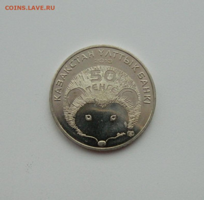 Казахстан 50 тенге 2013 г. (Юбилейная). до 03.02.20 - DSCN0128.JPG