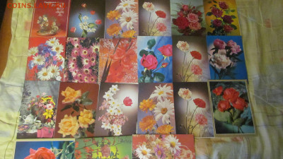 Открытки ссср 22 шт чистые цветы до 2 2 20 в 22-00 по мск - IMG_4634[1].JPG