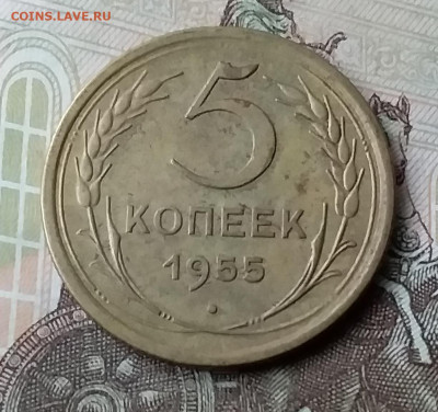 5 копеек 1955. До 3.02.20 в 22.00 - 20200130_152707
