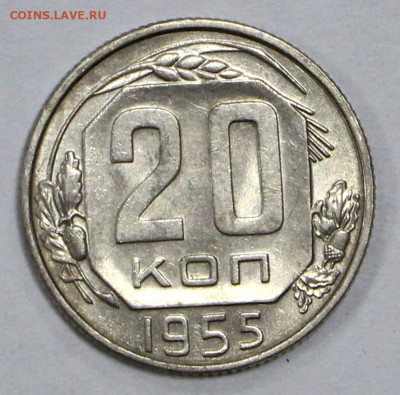 20 копеек 1955 года. UNC - 4.02.20 в 22.00 - 16,01,20 005
