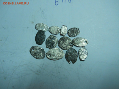 чешуя Петра 12 штук.до 02.02.2020 в 22-00 по мск. - DSCN4897.JPG