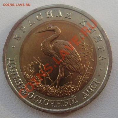 Красная книга UNC до 19.08.2011 в 21.00 - S7304415.JPG
