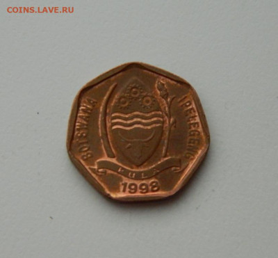 Ботсвана 5 тхебе 1998 г. (Фауна). до 03.02.20 - DSCN0089.JPG