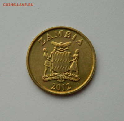 Замбия 10 нгве 2012 г.(Фауна)без обращения до 03.02.20 - DSCN0075.JPG