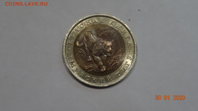 Красная Книга 10 рублей 1992г амурский тигр до 4.02 - DSC03670.JPG