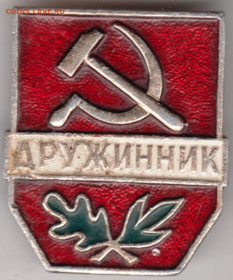 Знак ДРУЖИННИК до 06.02.20 г. в 23.00 - 035