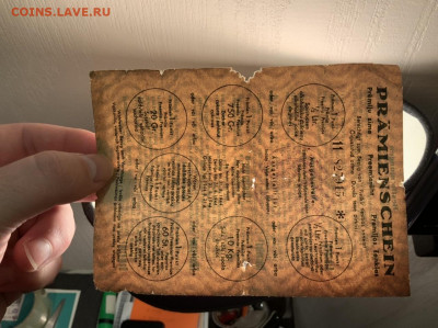 Премиальный пункт Остланд до 4.02 в 22—00 мск - B38A6FCB-43AF-4847-8FB0-F13ECA409FE6