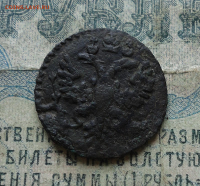 Полушка 1731 года. До 4.02.20. - DSC07771.JPG