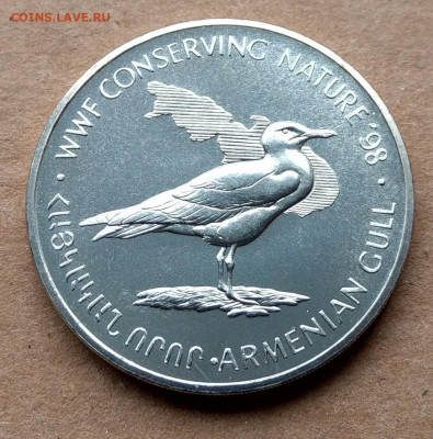 Армения,Чайка и Выдра. - 606AF270-0C35-4CE5-ABDF-706F2EAAF56B