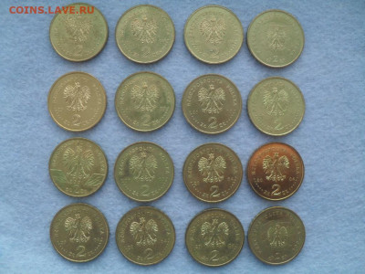 Польши 2 злотых (zlote) 16 штук. - SDC11087.JPG