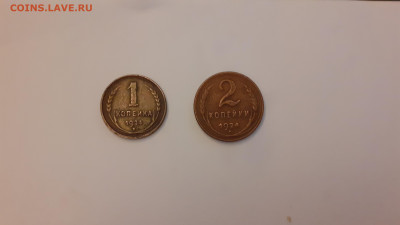 1, 2 копейки 1924 год до 7.02.20 в 22:00 мск - 20200202_163100