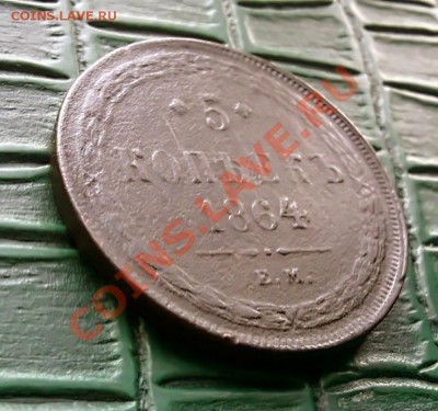 5КОП-1864 ЕМ-Короткий аук - 6F1D328D-DF29-4DDD-B64D-645C63246B3E