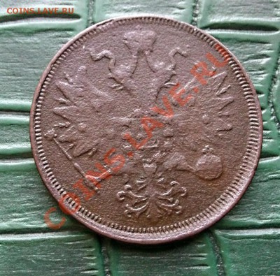 5КОП-1864 ЕМ-Короткий аук - 4