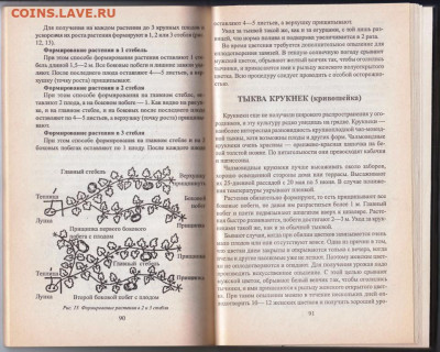 О. Ганичкина НАШ ОГОРОД  1998 г. до 09.02.20 г. в 23.00 - 025