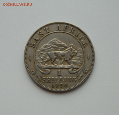 Британская Восточная Африка 1 шиллинг 1950 г. до 06.02.20 - DSCN9913.JPG