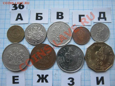 ЭКЗОТИКА-2. МНОГО ВСЯКОЙ РАЗНОЙ!!! ПОСТОЯННОЕ ПОПОЛНЕНИЕ!!! - 36-2.JPG