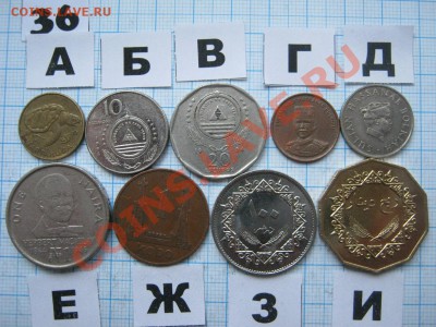 ЭКЗОТИКА-2. МНОГО ВСЯКОЙ РАЗНОЙ!!! ПОСТОЯННОЕ ПОПОЛНЕНИЕ!!! - 36-1.JPG