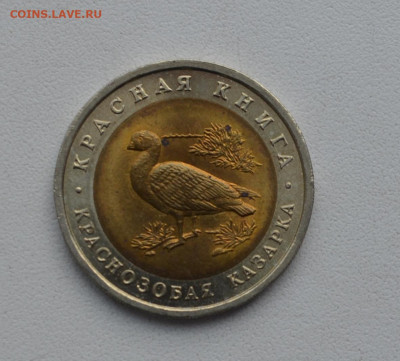 10 рублей Краснозобая Казарка 1992 год до 22-00 МСК 05.02.20 - DSC_0058.JPG