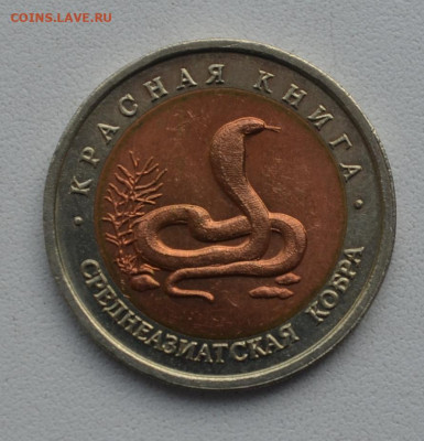 10 рублей Среднеазиатск кобра 1992 год до 22-00 МСК 05.02.20 - DSC_0066.JPG