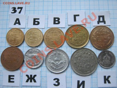 ЭКЗОТИКА-2. МНОГО ВСЯКОЙ РАЗНОЙ!!! ПОСТОЯННОЕ ПОПОЛНЕНИЕ!!! - 37-2.JPG