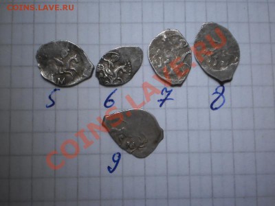 Чешуя Ивана III и Василия Ивановича - 1-1.JPG