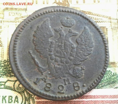 2 копейки 1828 КМ АМ до 08.02.2020 в 22.00 по Москве - 20200202_164941(1)