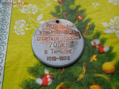 медаль 100 лет Конькобежного спорта - DSCN1306.JPG