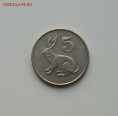 Зимбабве 1 цент 1991 г. (Фауна) до 06.02.20 - DSCN9943.JPG