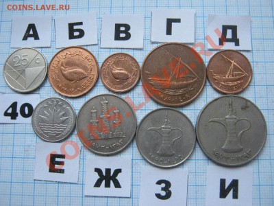ЭКЗОТИКА-2. МНОГО ВСЯКОЙ РАЗНОЙ!!! ПОСТОЯННОЕ ПОПОЛНЕНИЕ!!! - 40-2.JPG