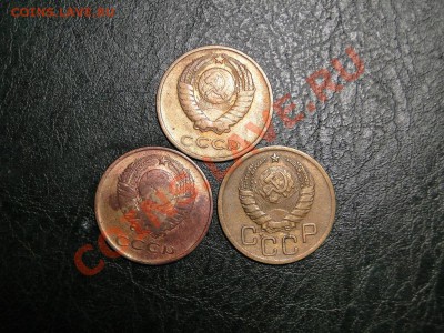 11 в 22-00Моск - 765.JPG