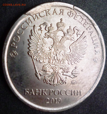 5р 2019 множественный брак - P1100929.JPG