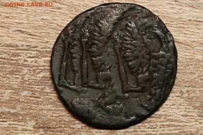 Чудо денга 1747 (4 удара) - IMG_7444 (2).JPG