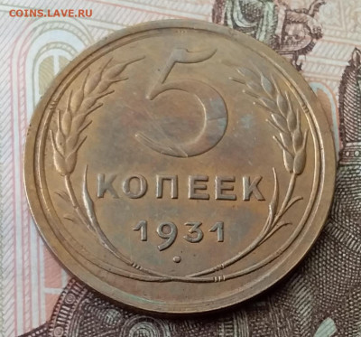 5 копеек 1931. До 8.02.20 в 22.00 - 20200206_100353
