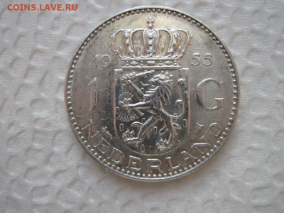 1 гульден Нидерланды 1955 до 08.02.20 - IMG_2559.JPG