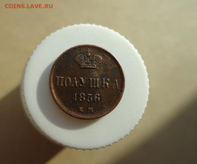 Полушка 1856 год ЕМ  до 09.02.2020 до 22-00 МСК - ф3