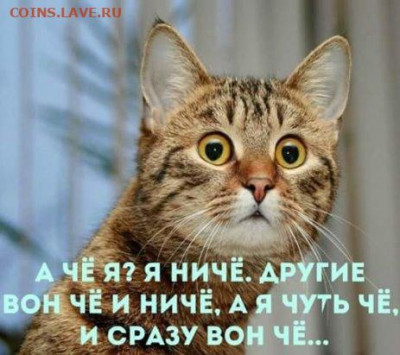 Серебро Российской империи... Предпродажная тема... - wPPtFI2bdb