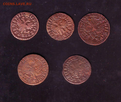 Деньга 1704-1712г на оценку. - Image0149.JPG