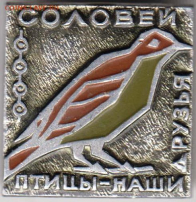 Знак СОЛОВЕЙ Птицы-наши друзья до 13.02.20 г. в 23.00 - 035