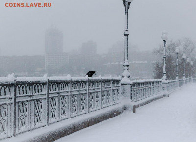 ФОТО - просто фото. Те что получились удачными. - Ц1