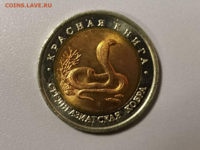 Красная книга: 10р 1992г. Среднеазиат. кобра(меш), до 13.02 - СЧ Кобра мешк-1