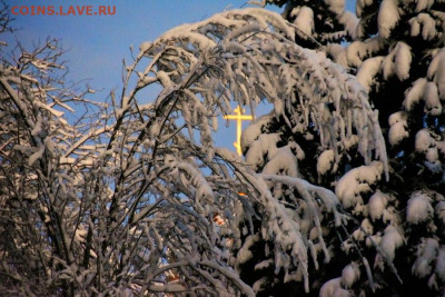 ФОТО - просто фото. Те что получились удачными. - 3