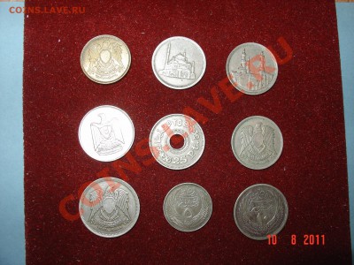 Продам монеты Египет. - DSC05019.JPG