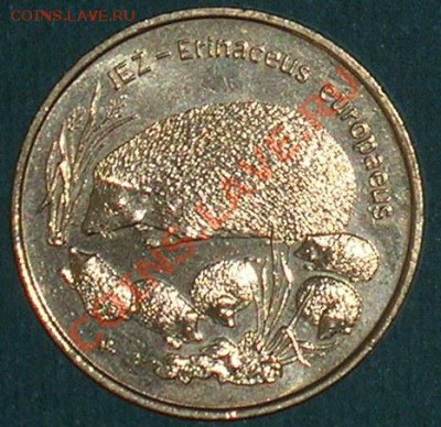 Польша, 2 злотых 1996 Ёжиха с ежатами, супер цена! - DSCN5305-2