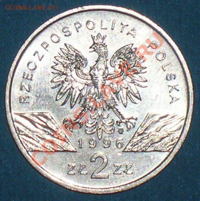 Польша, 2 злотых 1996 Ёжиха с ежатами, супер цена! - DSCN5306-2