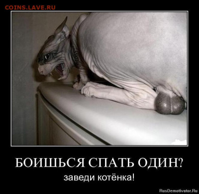 Пора уже потележить за отношение полов)) - 1351683062_q342b1gorcy5