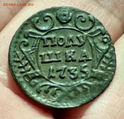 полушка 1735г - 1735