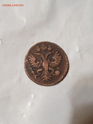 полушка 1731 - 6