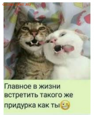 юмор - IMG_20200209_140334