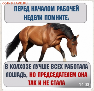 делает - прямо сейчас !!! - IMG_20200209_140818